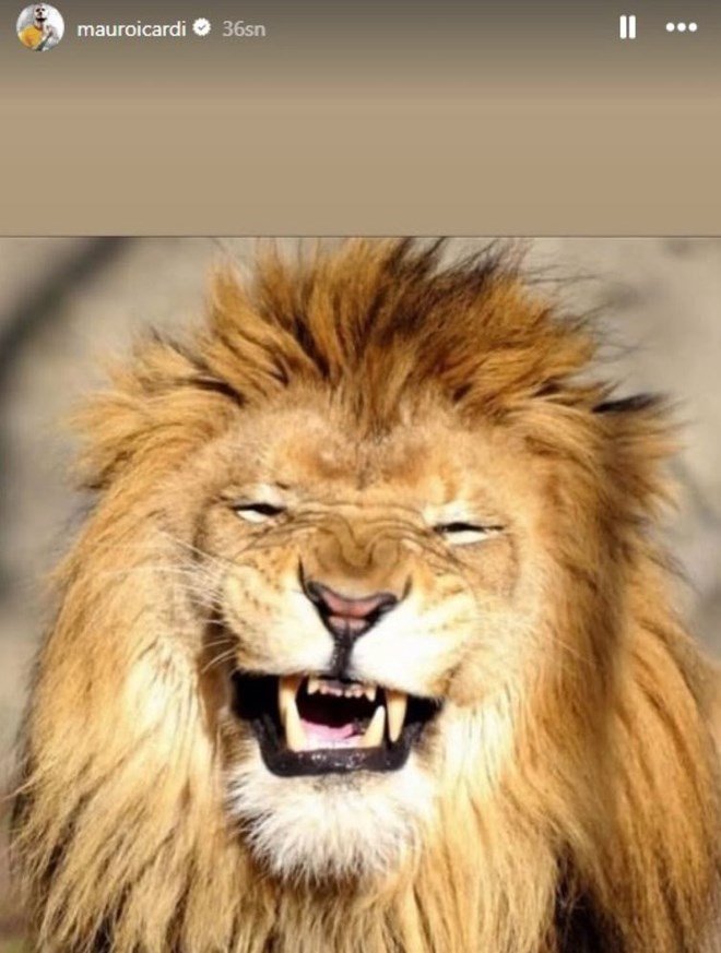 25e62c4041ae4432bcb7e21070e06c08 Mauro Icardi'den Fenerbahçe maçı sonrası peş peşe iki flaş paylaşım - 3. Foto